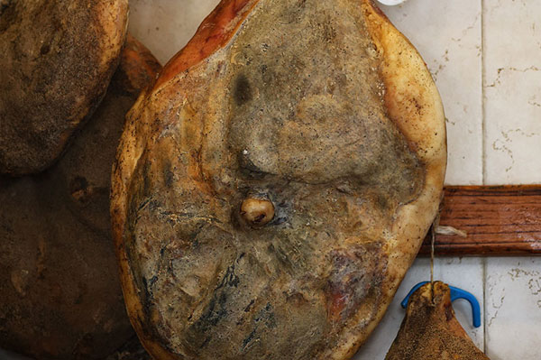 Lo Scalco mecelleria norcineria degustazioni in San Miniato