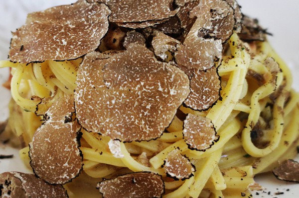 Truffle in Tuscany is truffle hunting experience in San Miniato