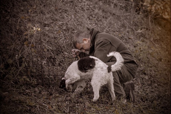 Truffle in Tuscany is truffle hunting experience in San Miniato
