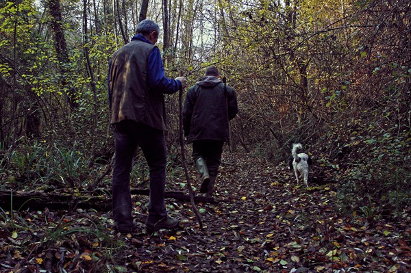 Truffle in Tuscany is truffle hunting experience in San Miniato