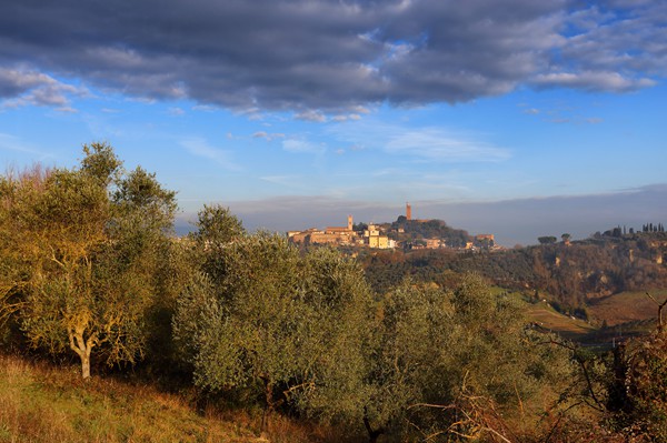 Visit San Miniato