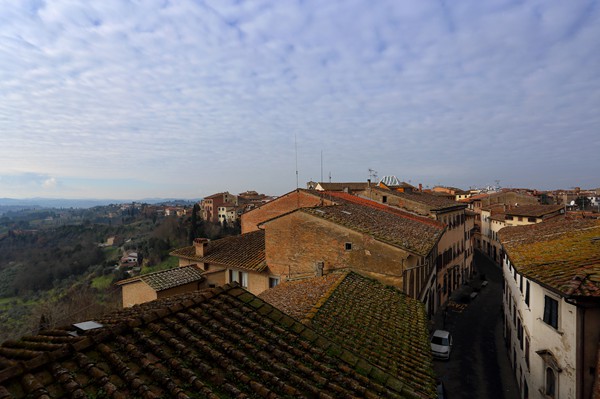 Visit San Miniato