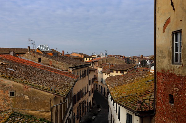 Visit San Miniato